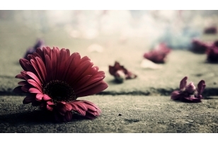 选对去臭好方法 一箭双雕成就梦想