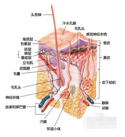 1517207953-457415.jpg 16.jpg