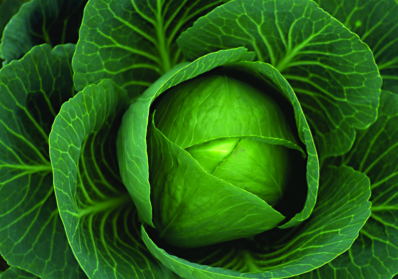 1522046038-137109.jpg 38.jpg