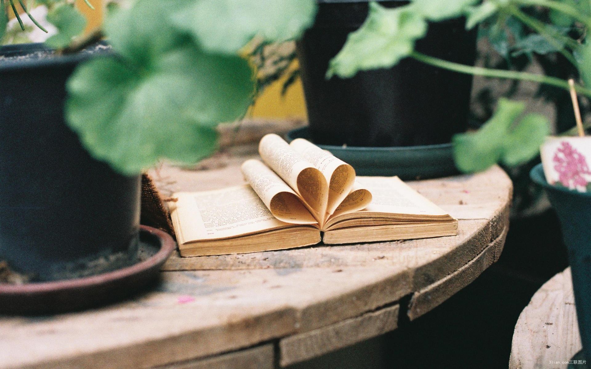 1522218195-175409.jpg 57 (1).jpg