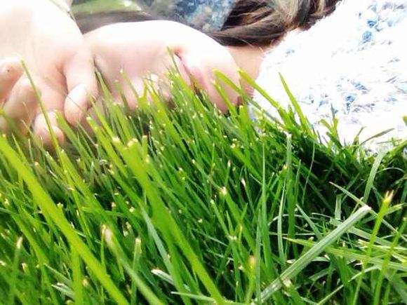 1523599655-444921.jpg timg.jpg与.jpg