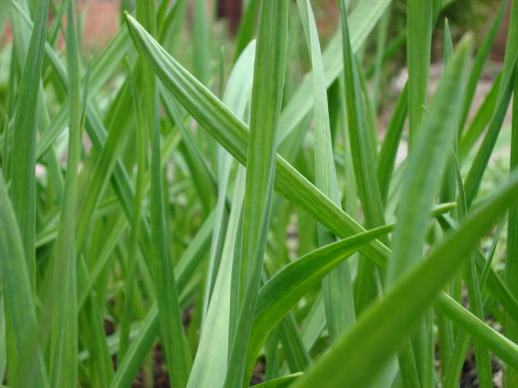 1524020513-985629.jpg timg.jpgUI哦.jpg