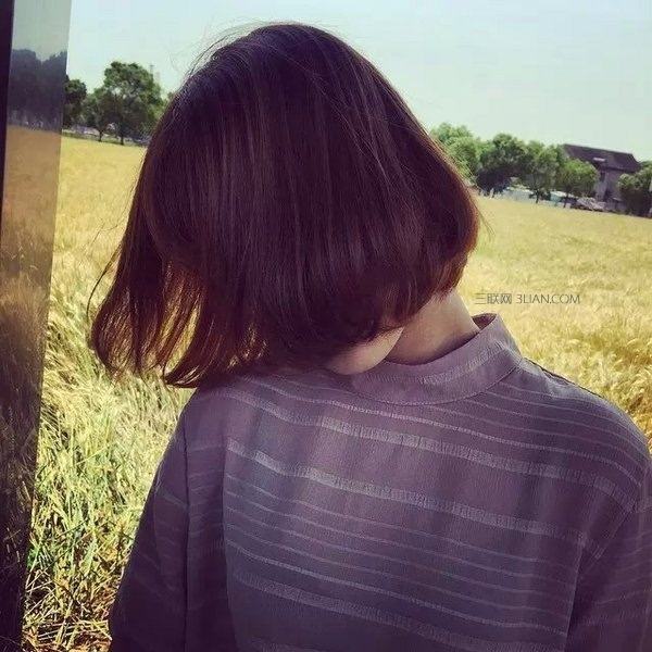 1524708865-936677.jpg timg.jp而天通苑.jpg