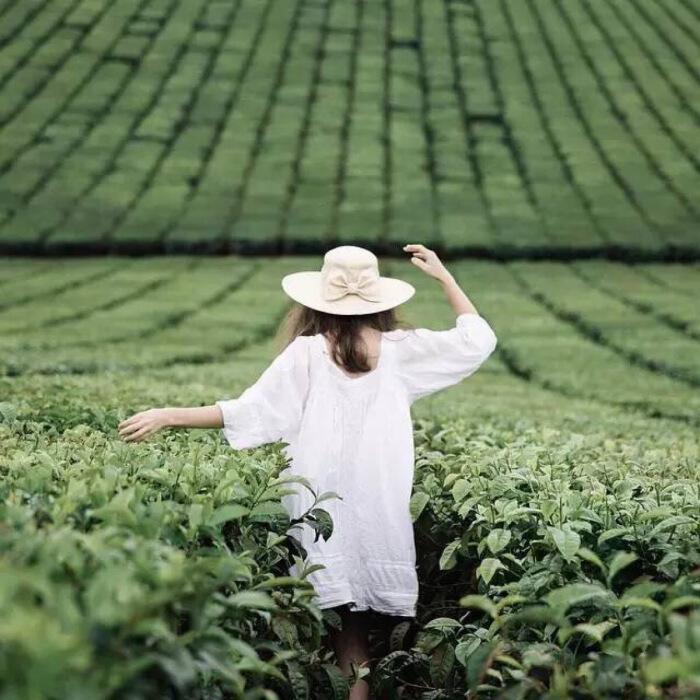 1594197096-214830.jpg timg (5).jpg